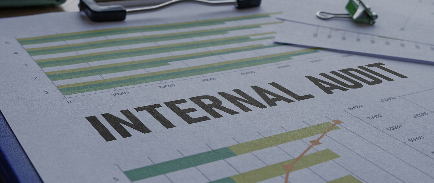 Risk Advisory Services Knav Usa